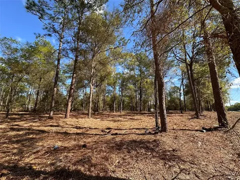 0 W Highway 40 Ocala FL 34481