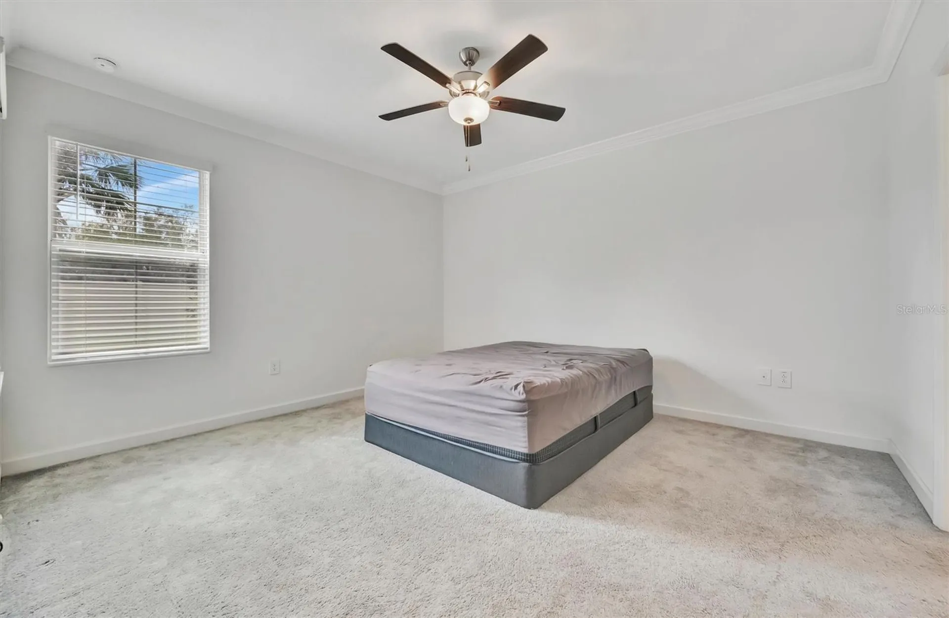 17436 Holly Well Avenue Wimauma FL 33598