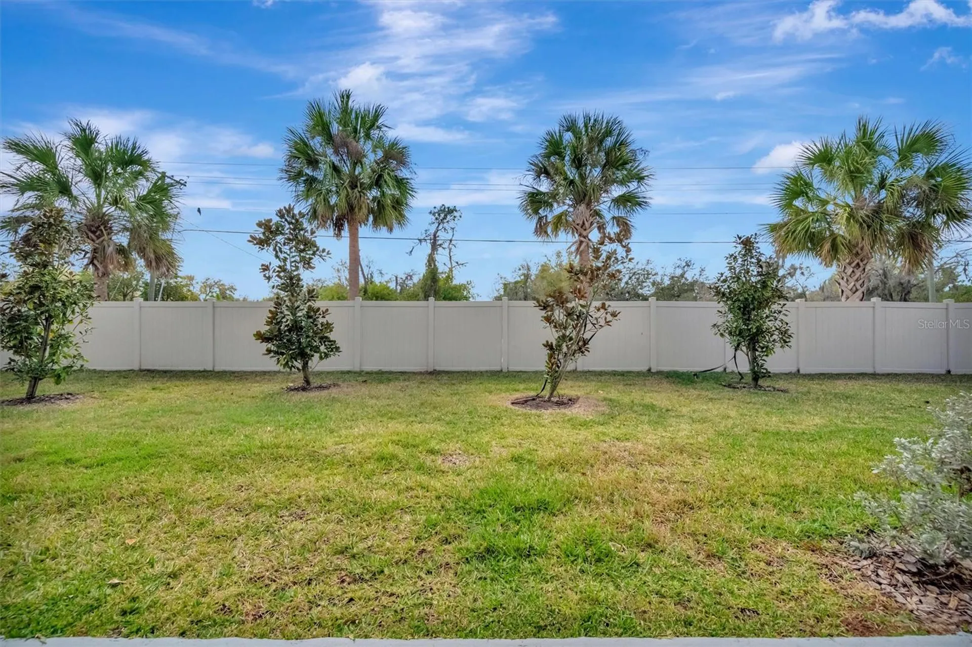 17436 Holly Well Avenue Wimauma FL 33598