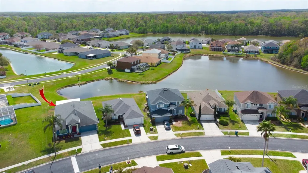 25500 Geddy Drive Land O Lakes FL 34639