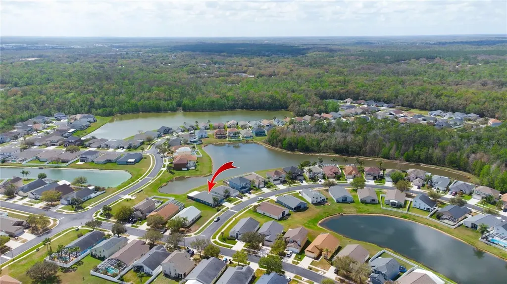 25500 Geddy Drive Land O Lakes FL 34639