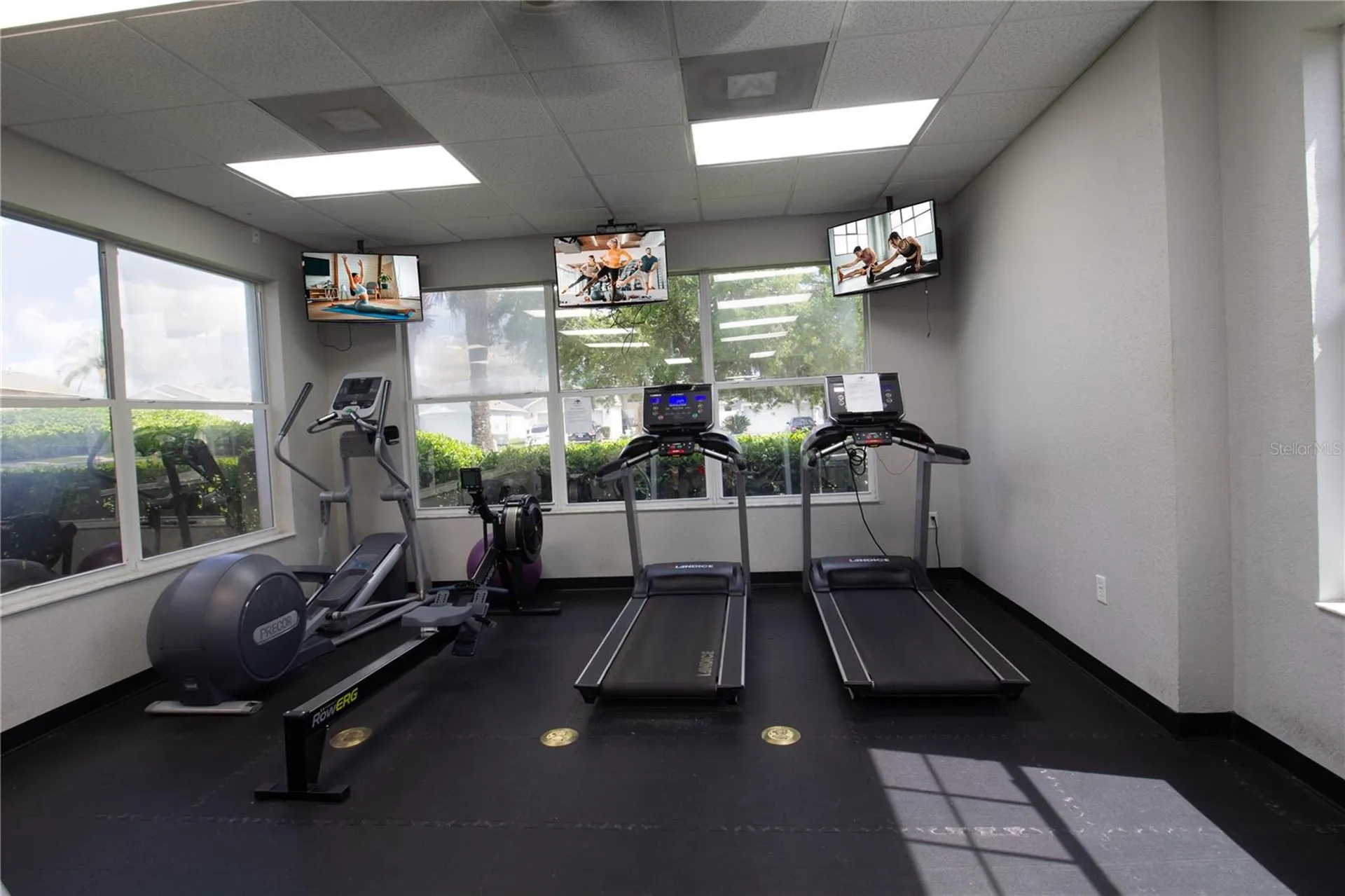 25500 Geddy Drive Land O Lakes FL 34639