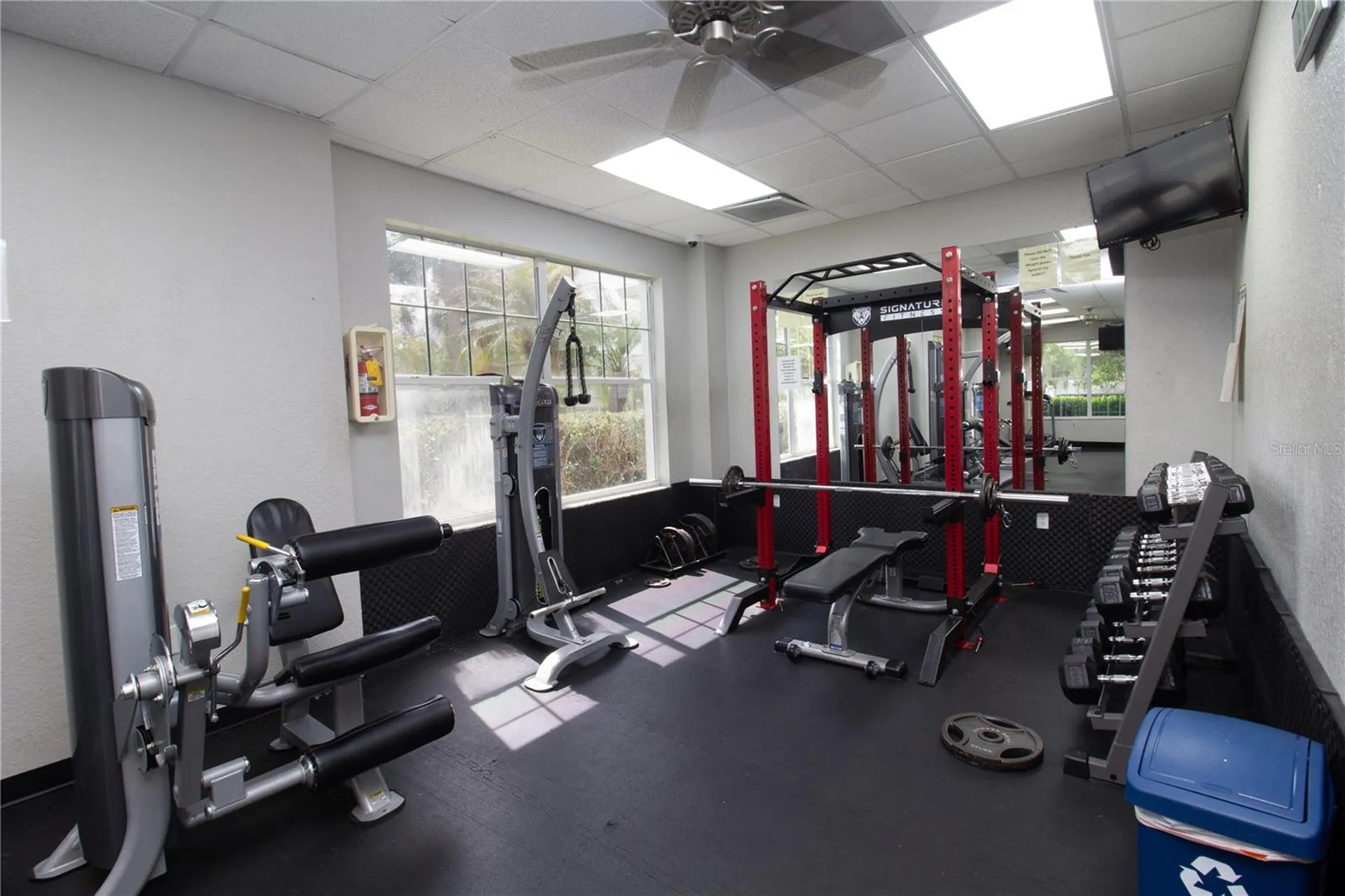 25500 Geddy Drive Land O Lakes FL 34639