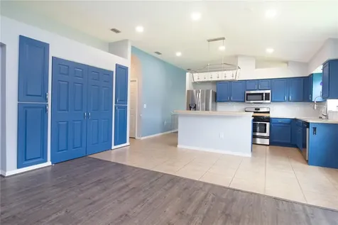 25500 Geddy Drive Land O Lakes FL 34639