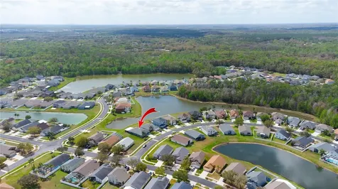 25500 Geddy Drive Land O Lakes FL 34639
