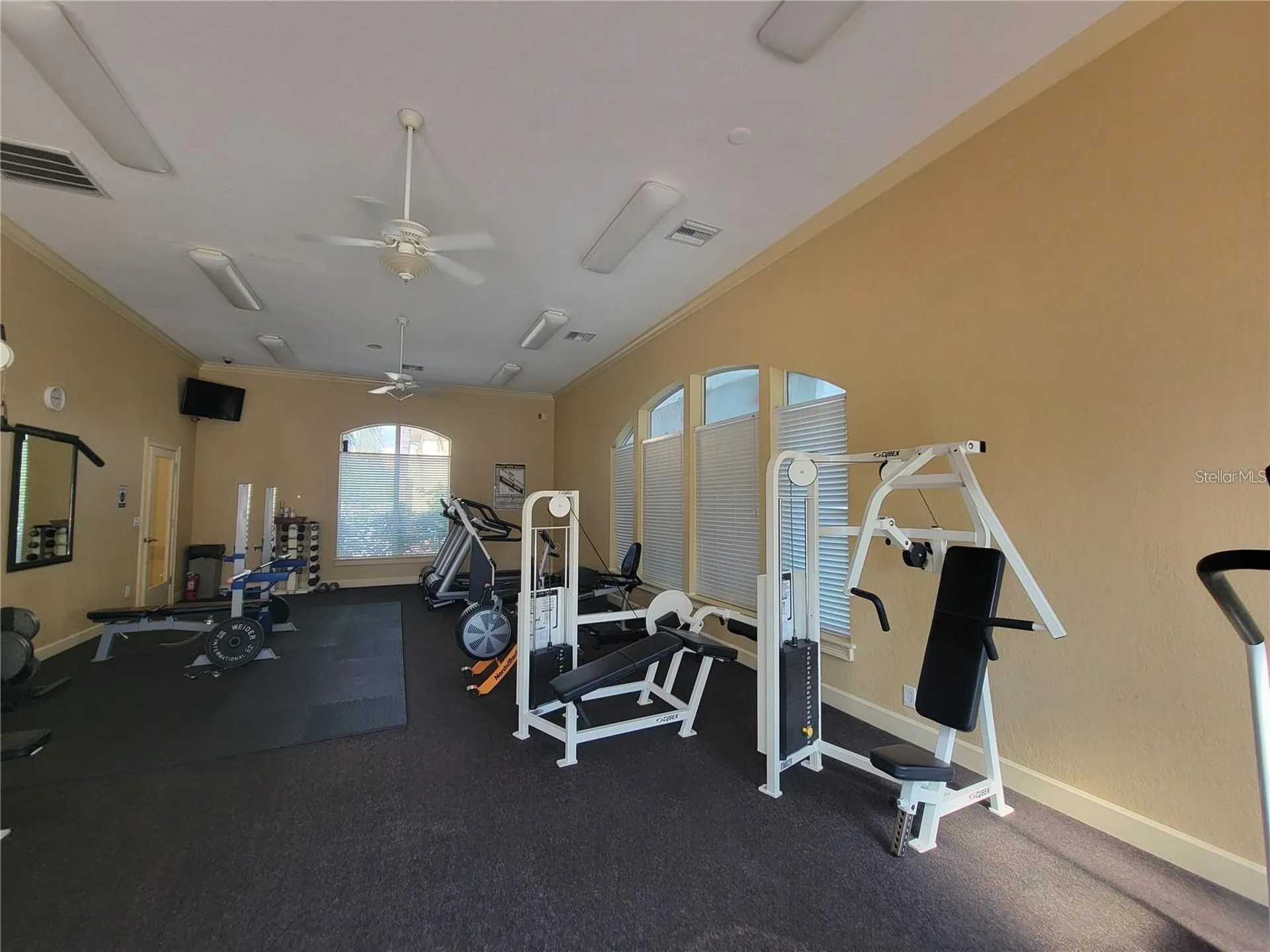 4306 Bayside Village Drive Tampa FL 33615