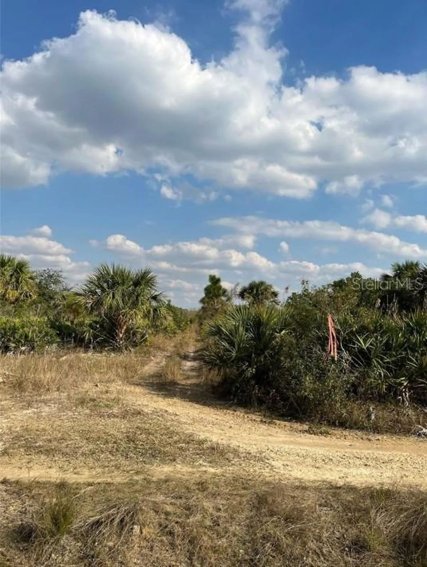 50982 Bermont Road Punta Gorda FL 33982