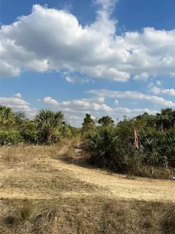 50982 Bermont Road Punta Gorda FL 33982