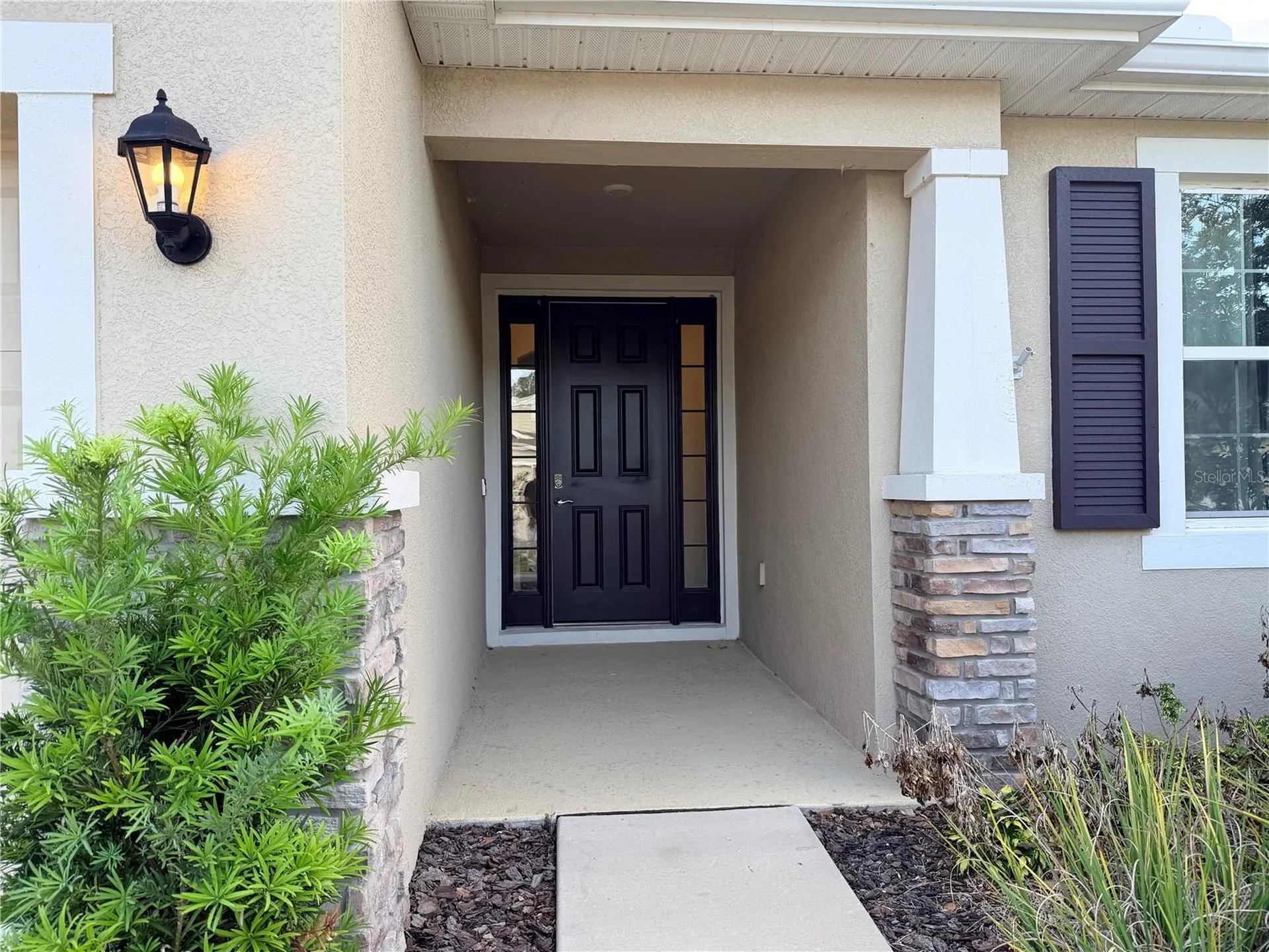 8313 Wheat Stone Drive Zephyrhills FL 33540
