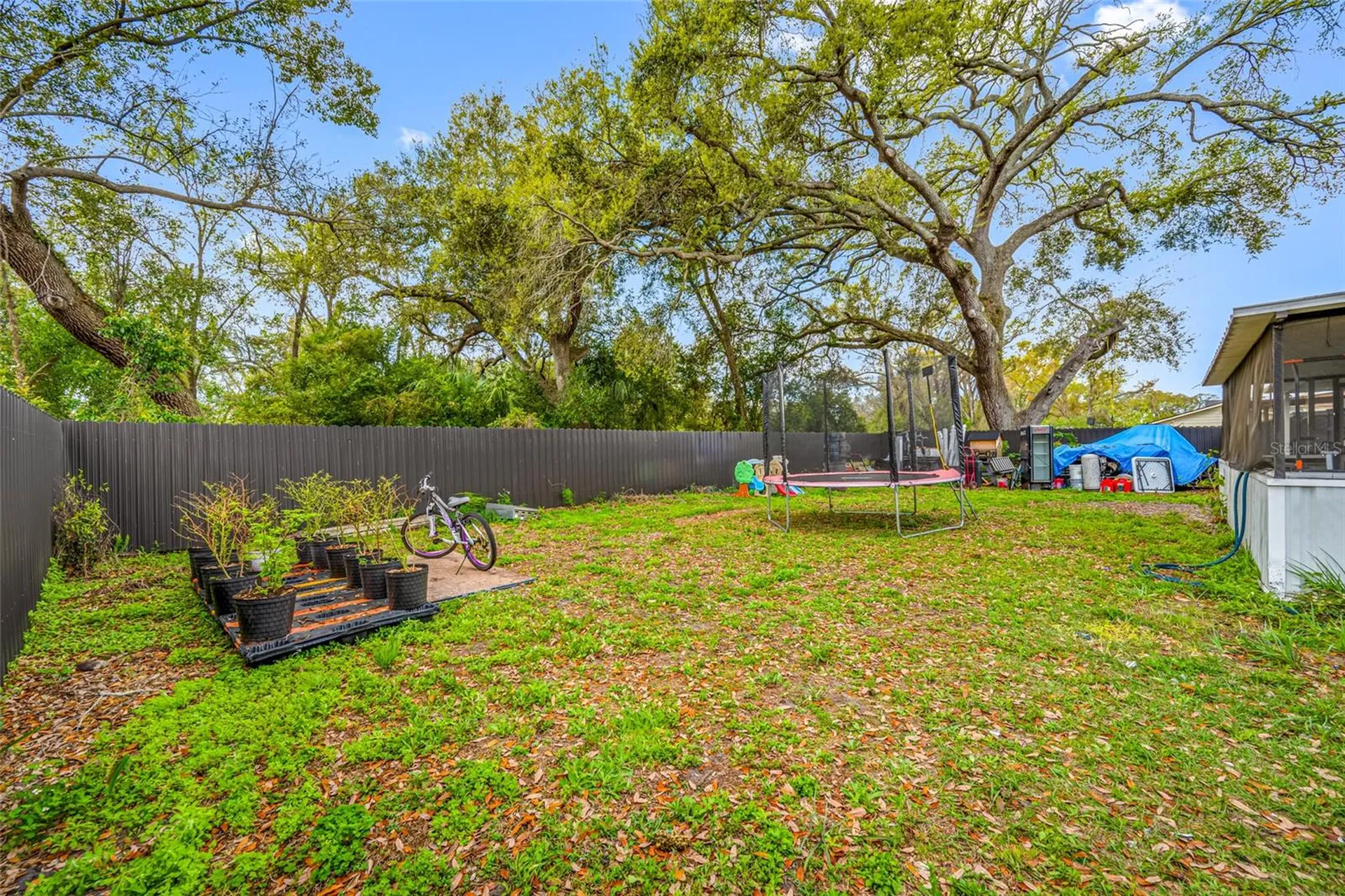 2814 W Powhatan Avenue Tampa FL 33614