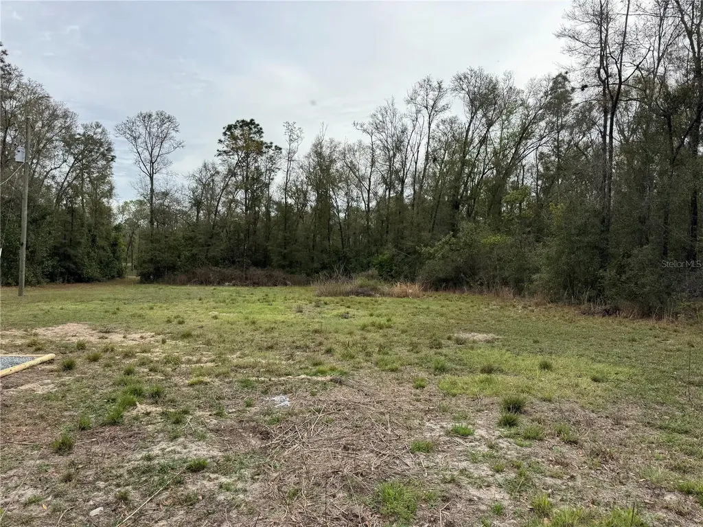 4317 284th Street Branford FL 32008