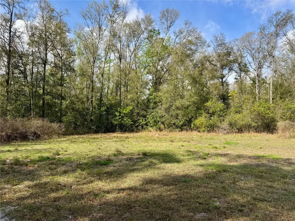 4317 284th Street Branford FL 32008