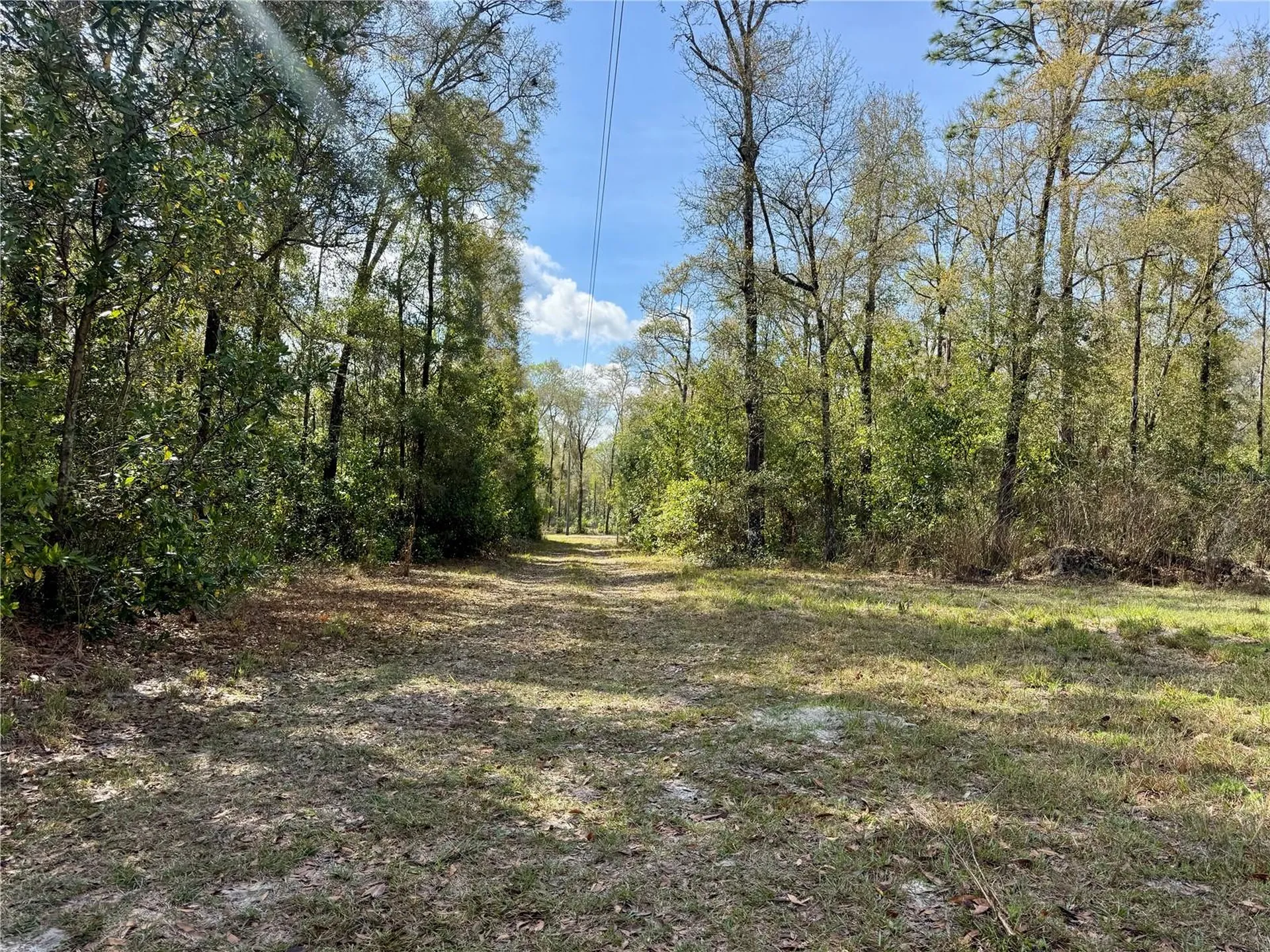 4317 284th Street Branford FL 32008