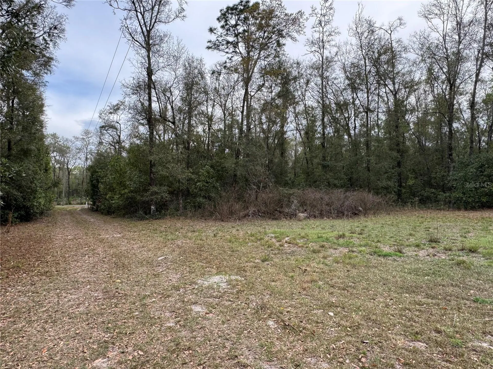 4317 284th Street Branford FL 32008