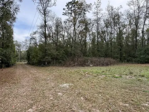 4317 284th Street Branford FL 32008