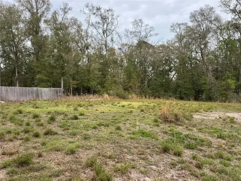 4317 284th Street Branford FL 32008