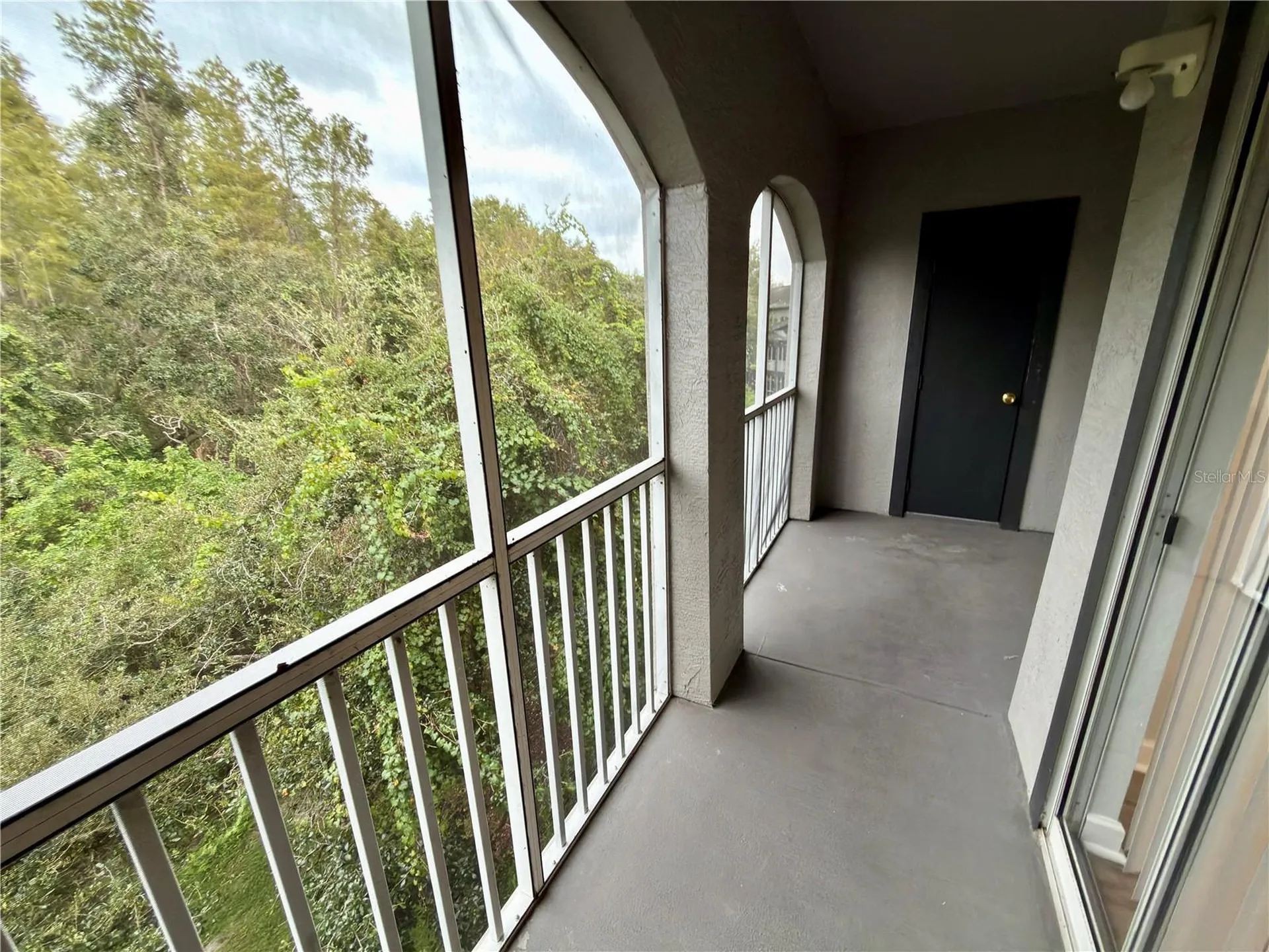 13235 Sanctuary Cove Drive Temple Terrace FL 33637