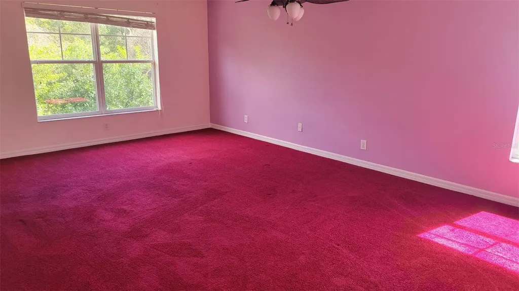 1443 Hillview Lane Tarpon Springs FL 34689