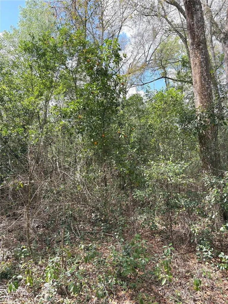 21249 Durden Road Dade City FL 33523