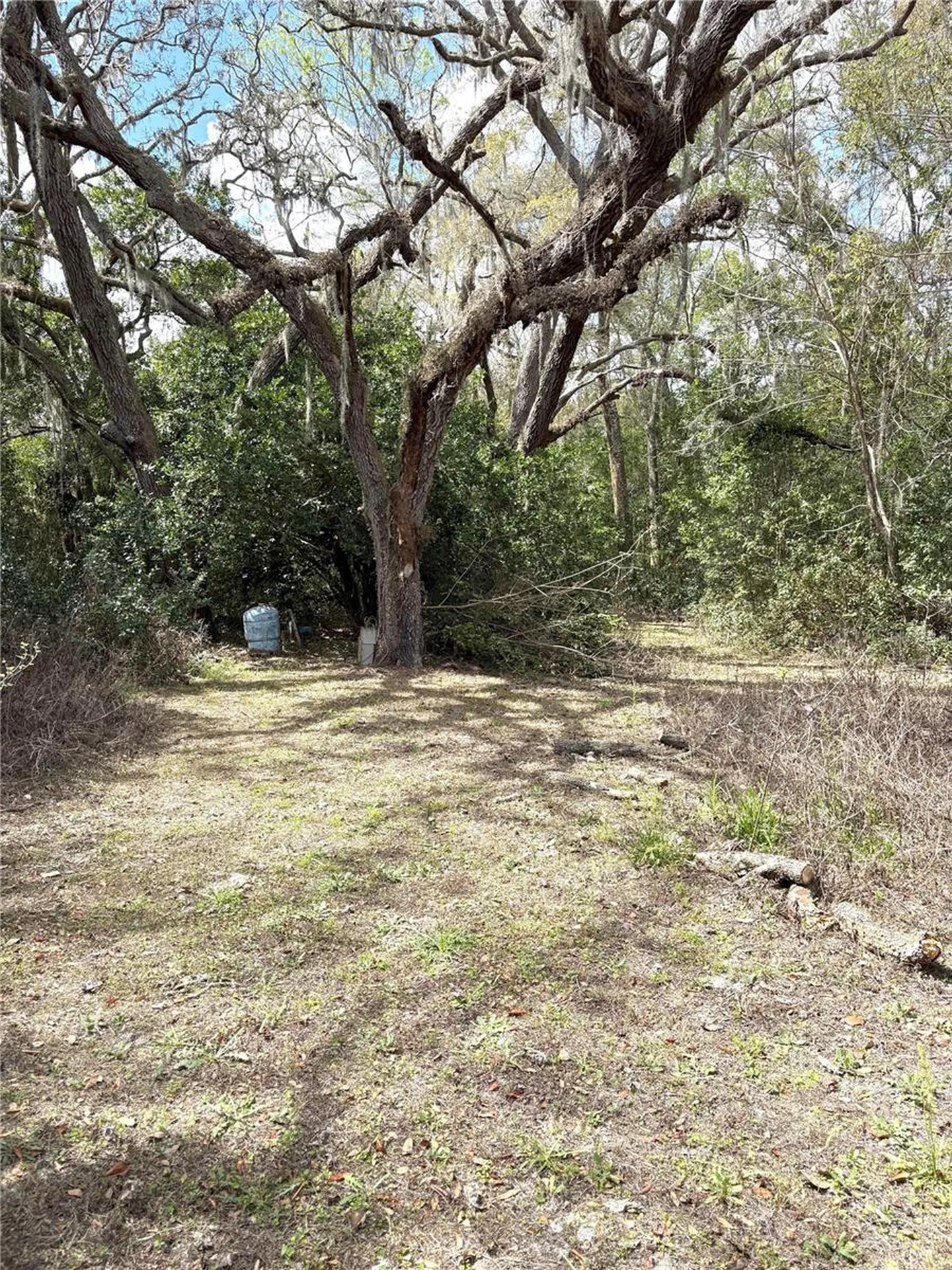 21249 Durden Road Dade City FL 33523