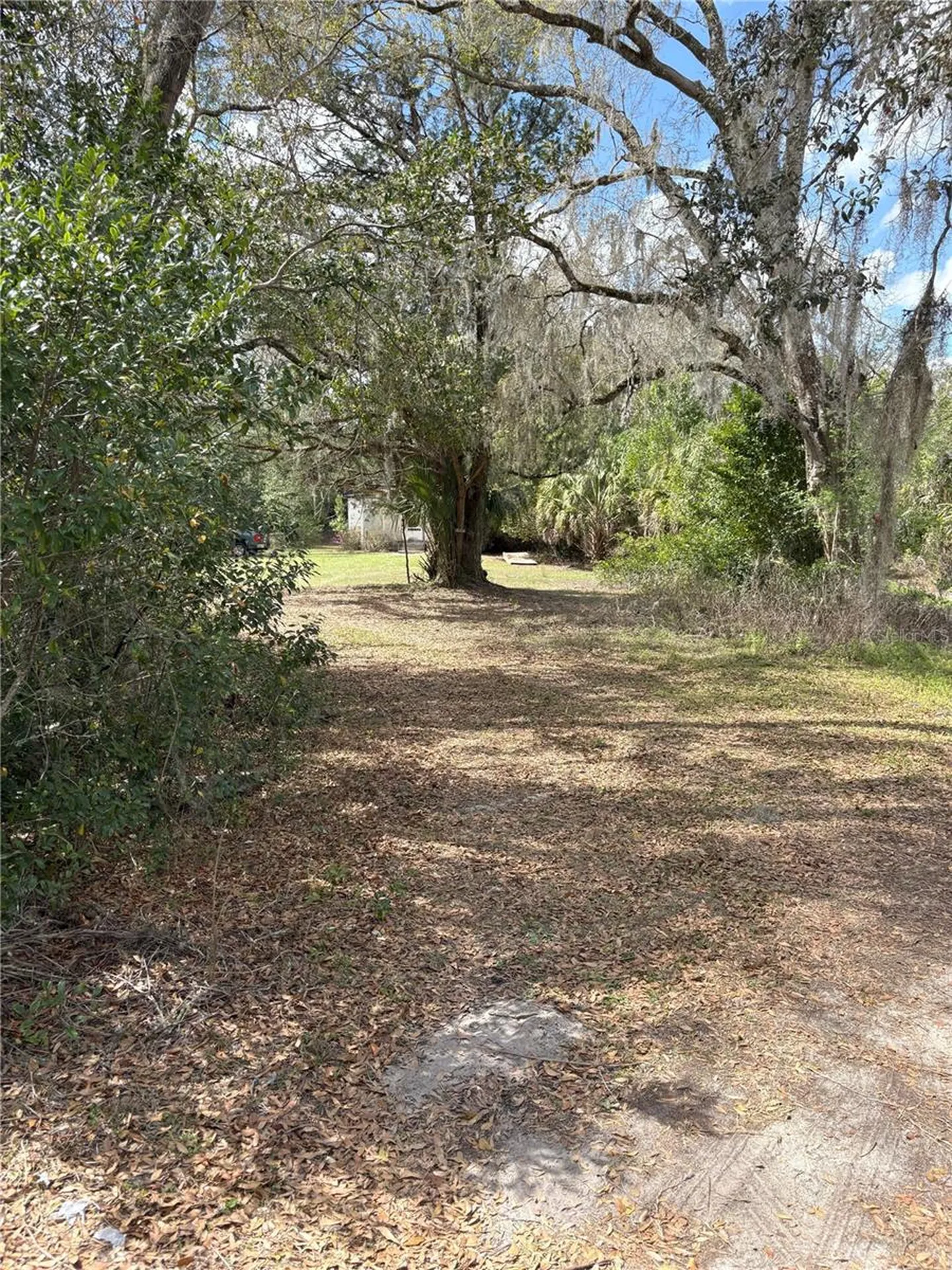 21249 Durden Road Dade City FL 33523