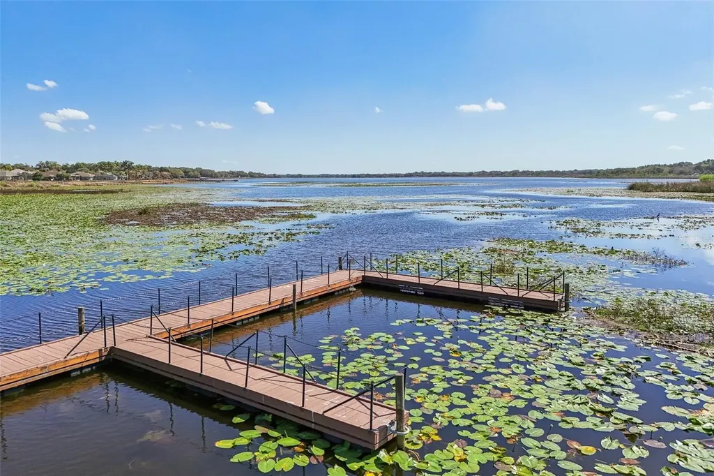 10144 Lake Miona Way Oxford FL 34484