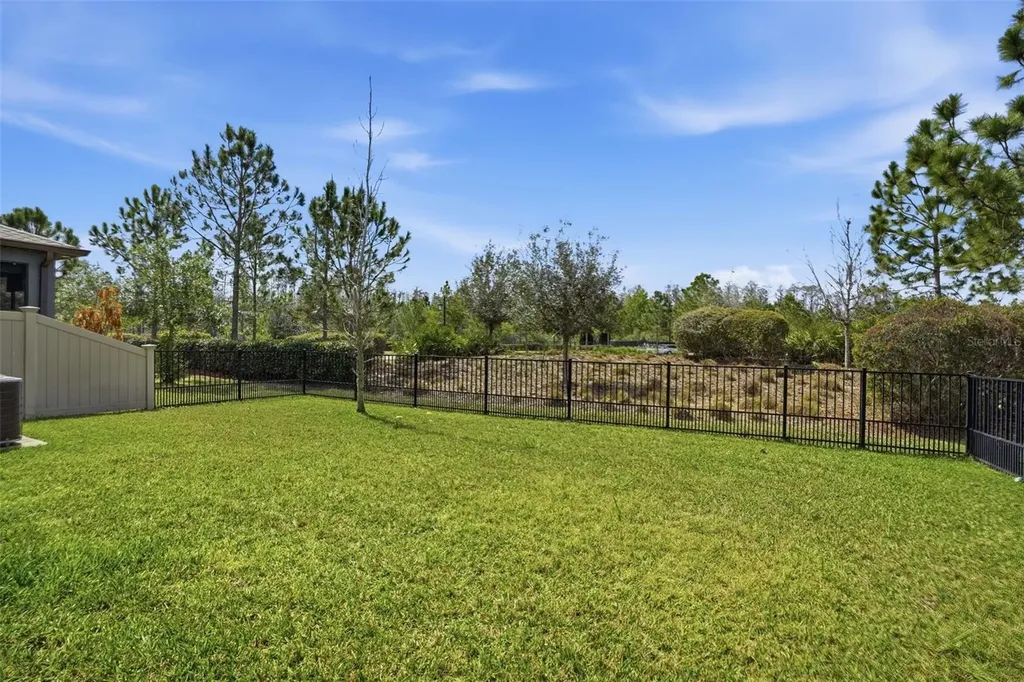 4547 San Martino Drive Wesley Chapel FL 33543