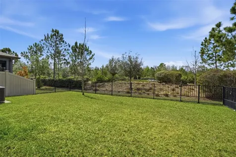 4547 San Martino Drive Wesley Chapel FL 33543
