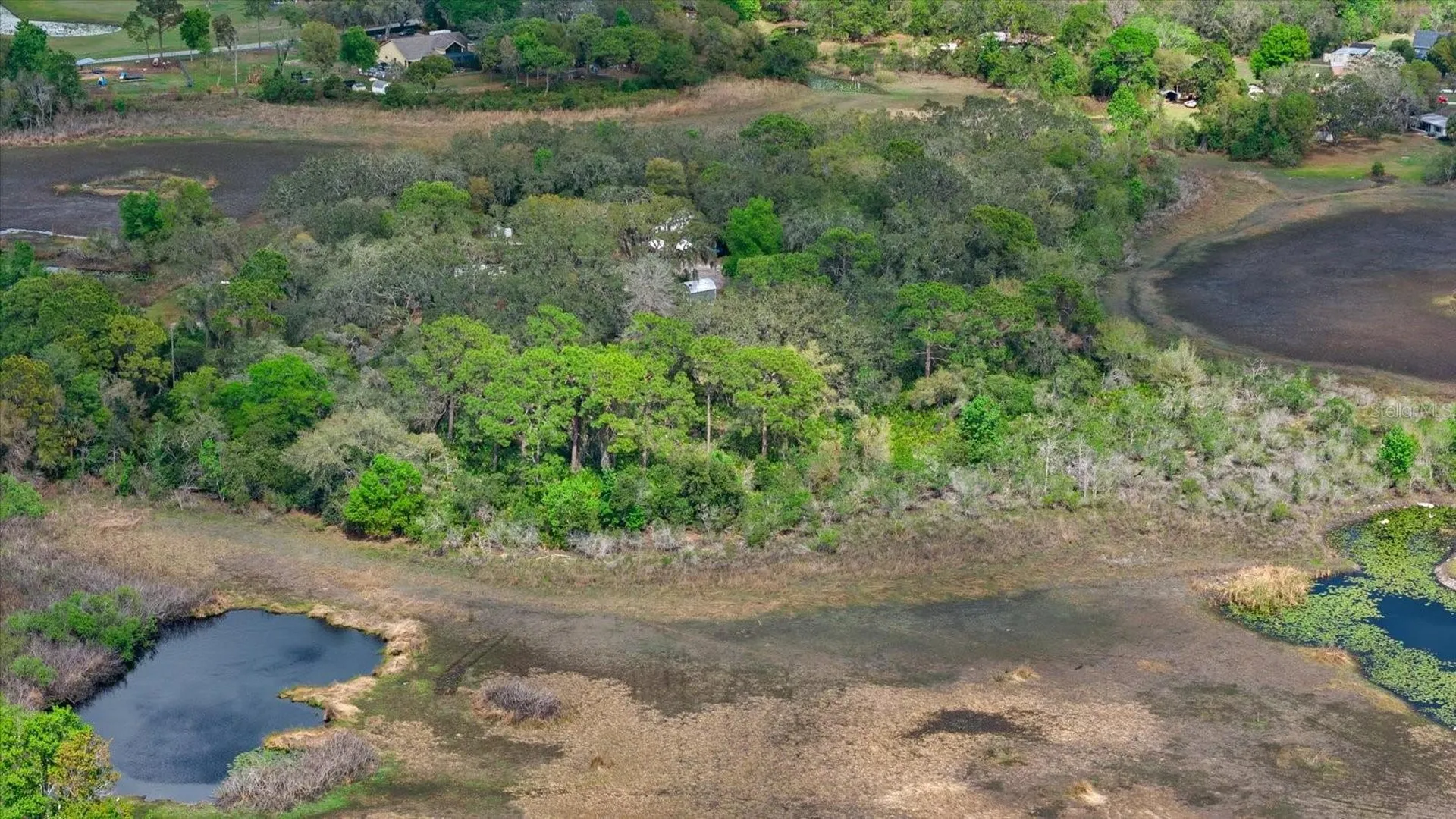 Indale Drive New Port Richey FL 34654