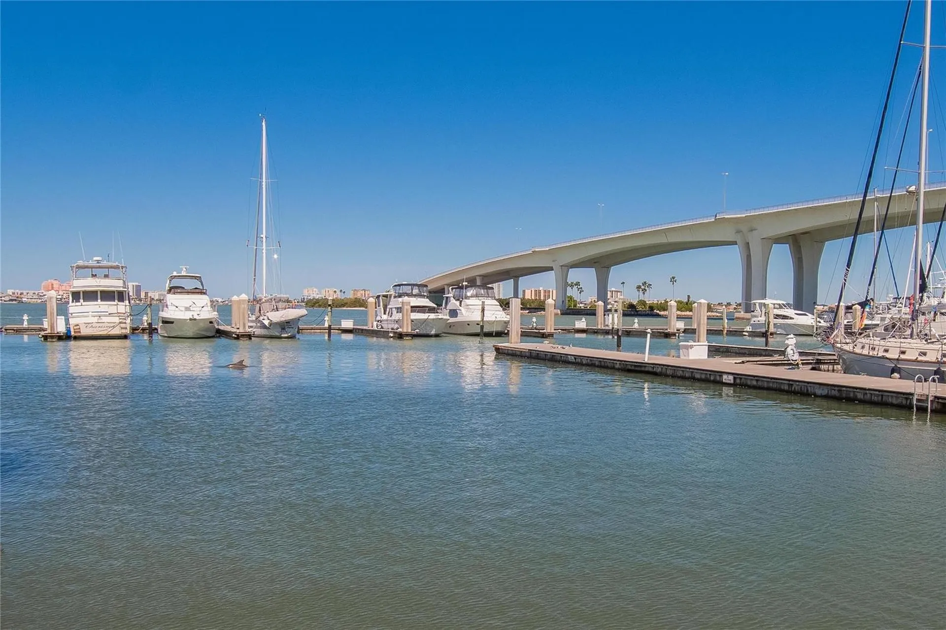 100 Pierce Street Clearwater FL 33756