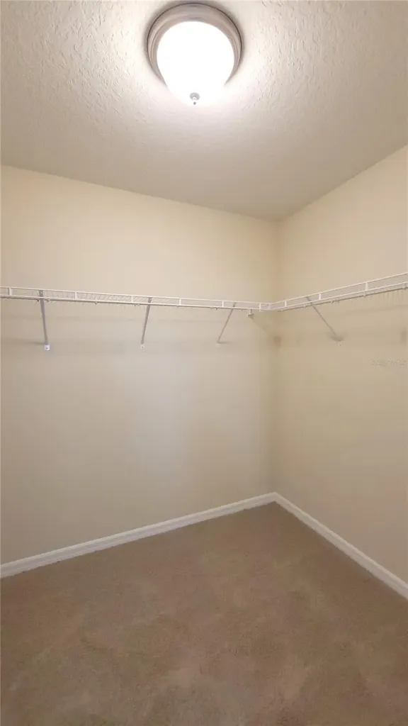 8156 Wood Sage Drive Winter Garden FL 34787
