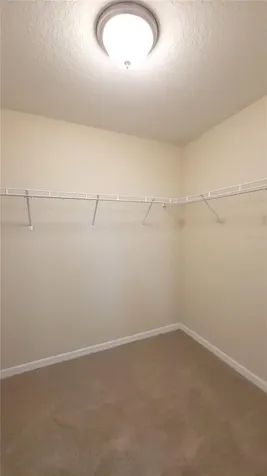 8156 Wood Sage Drive Winter Garden FL 34787