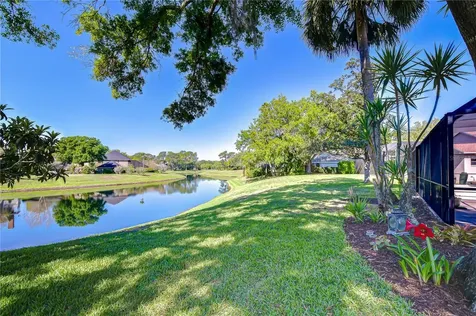 6623 Stonington Drive N Tampa FL 33647
