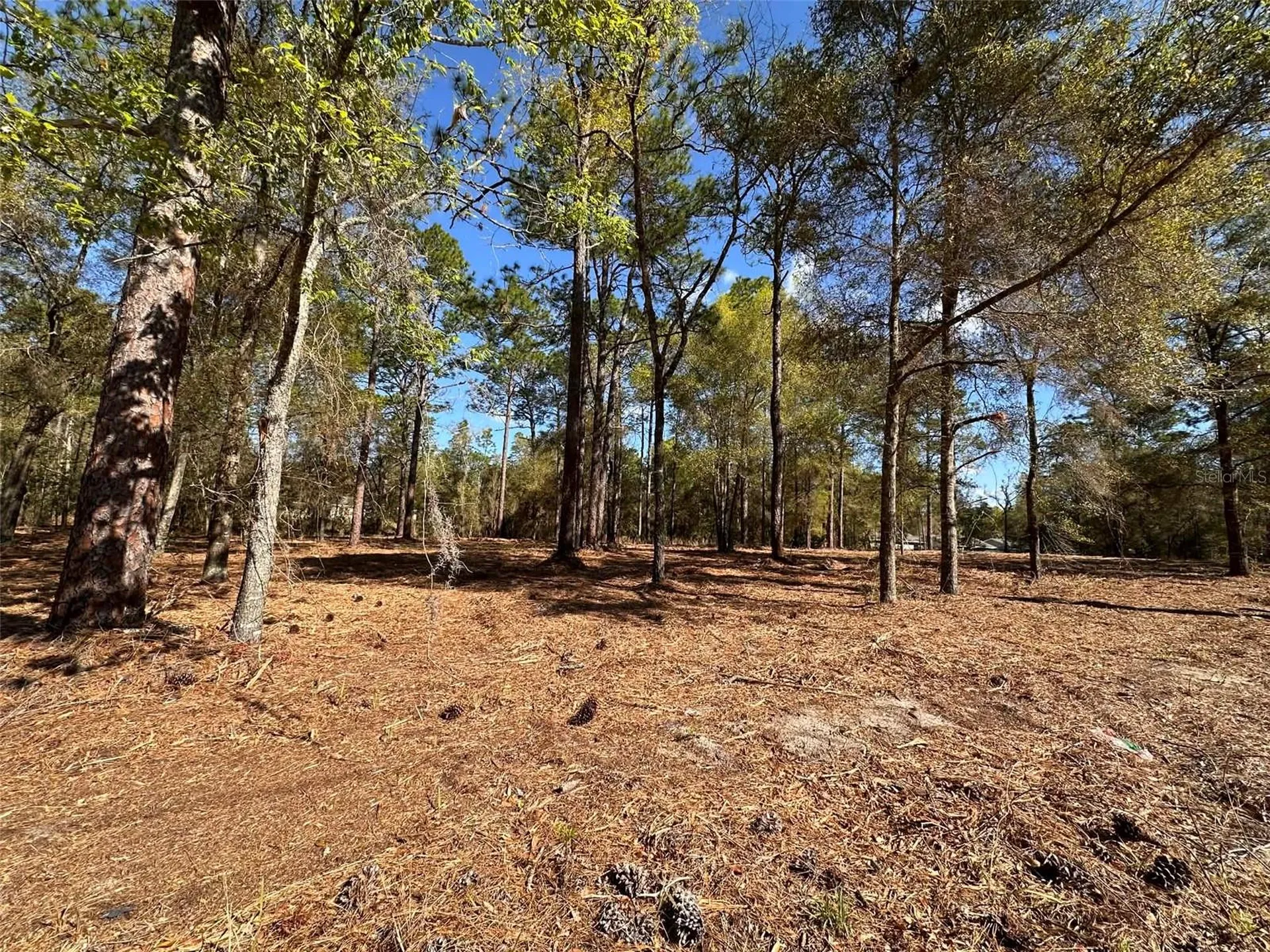0 W Highway 40 Ocala FL 34481