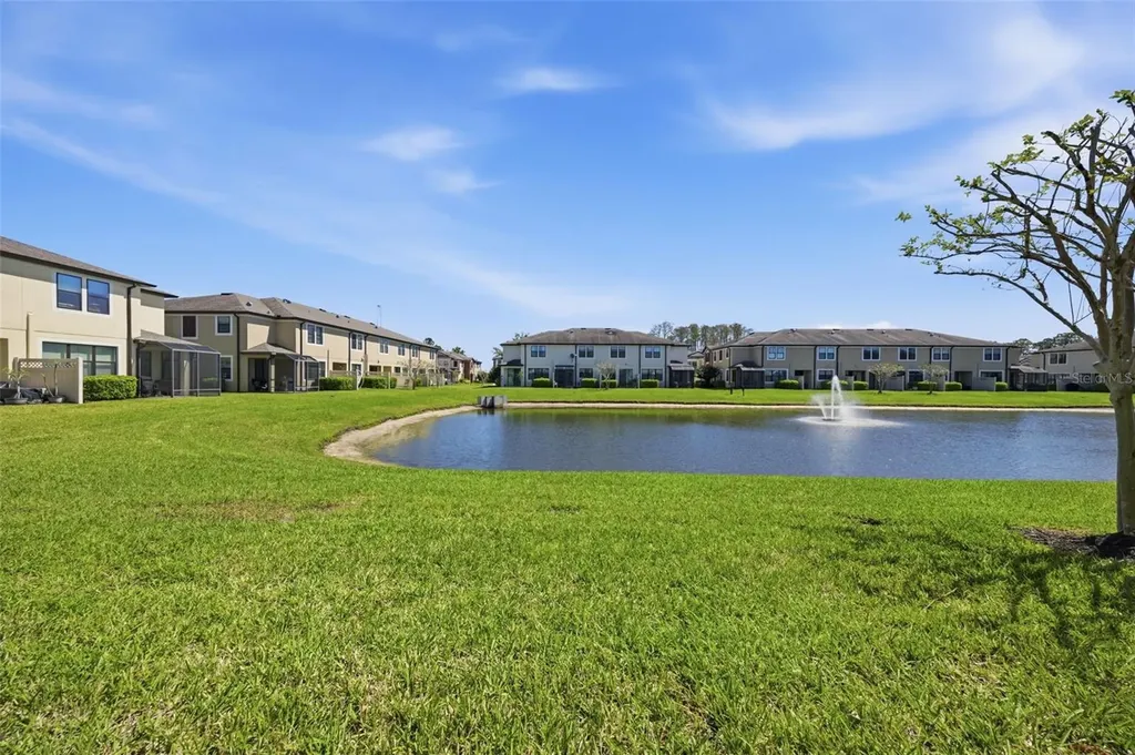 11539 Crowned Sparrow Lane Tampa FL 33626