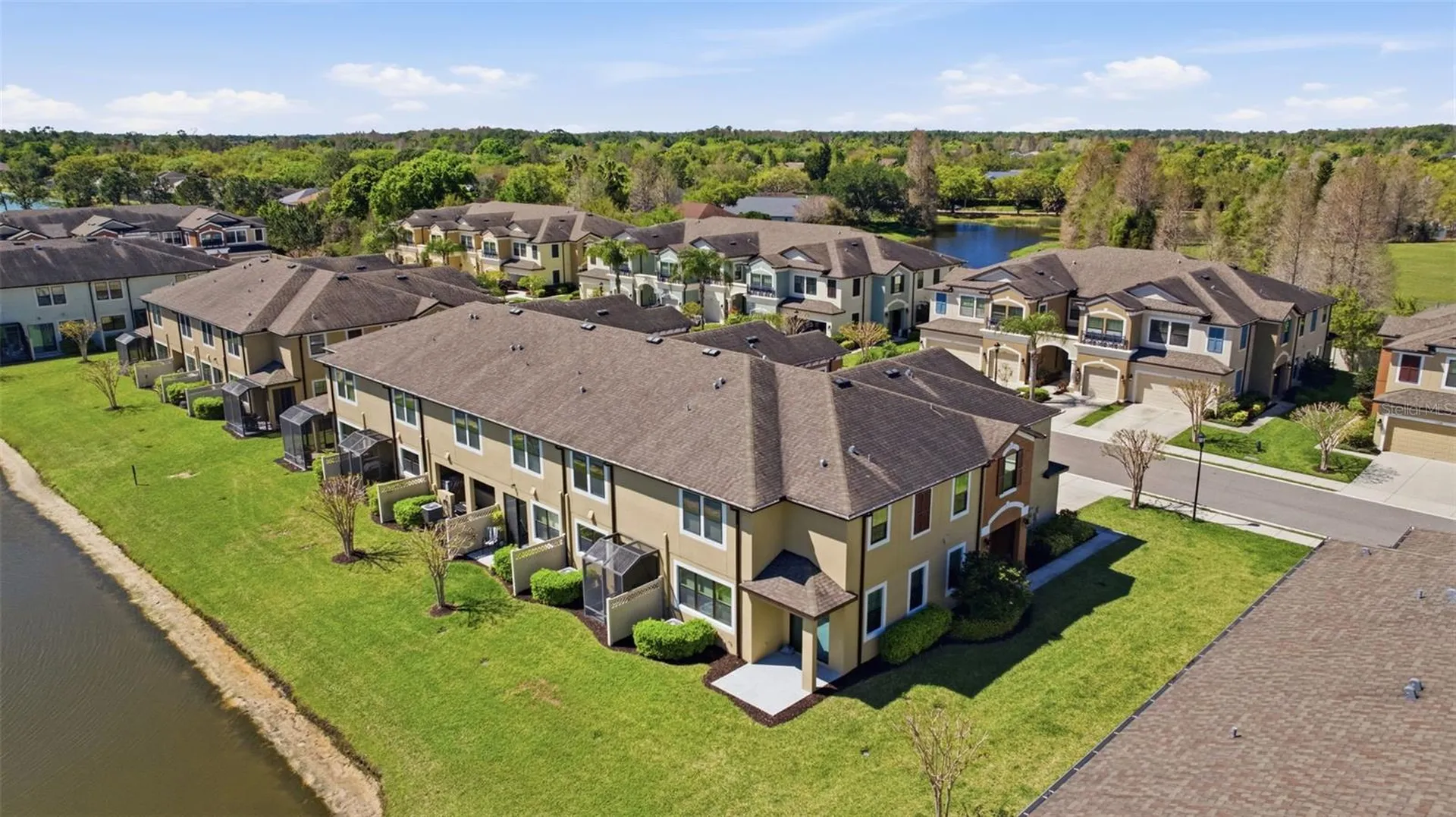 11539 Crowned Sparrow Lane Tampa FL 33626