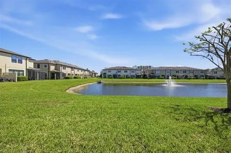 11539 Crowned Sparrow Lane Tampa FL 33626