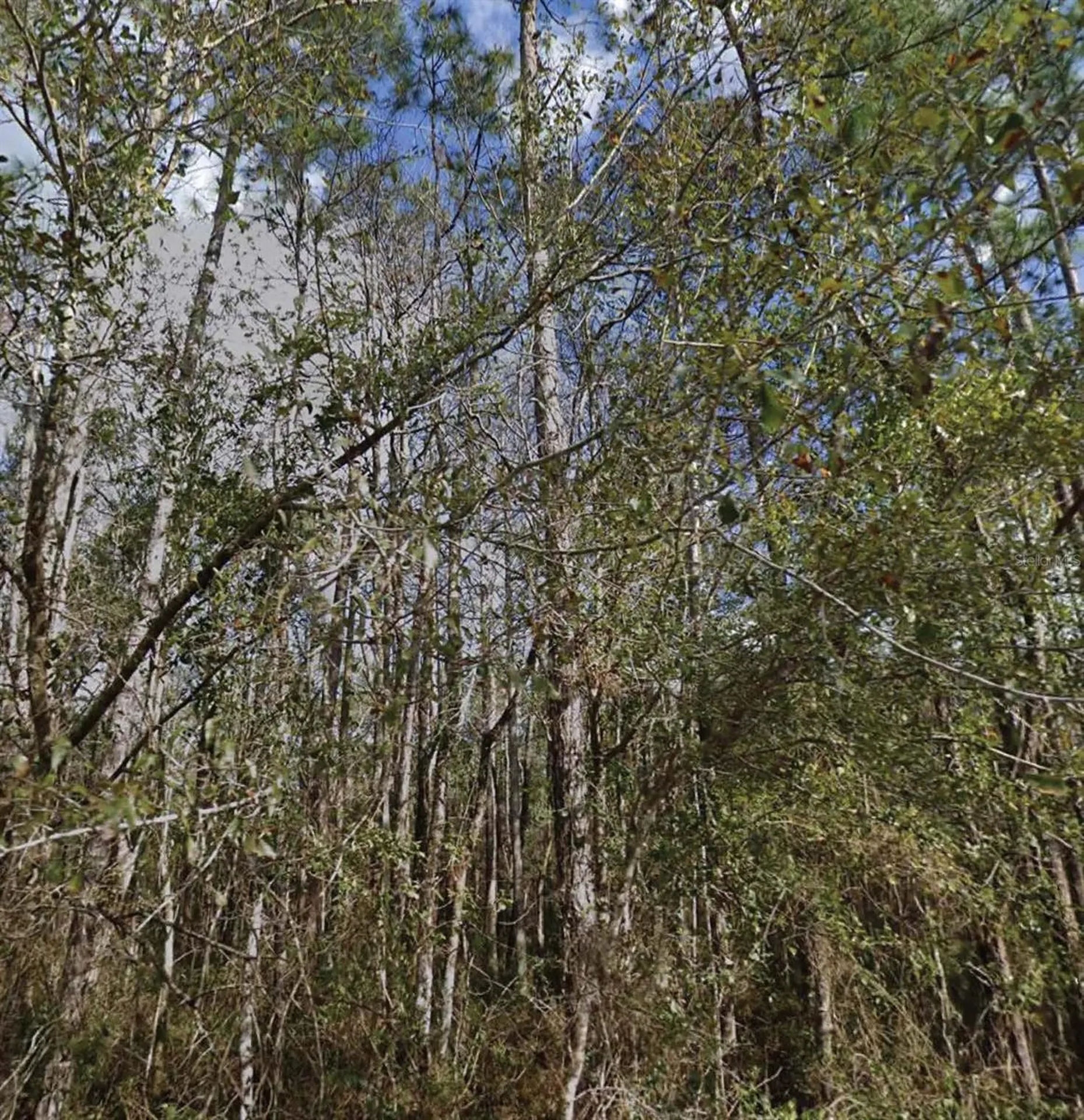 SE 3rd Street Palatka FL 32177