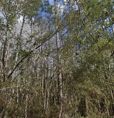 SE 3rd Street Palatka FL 32177