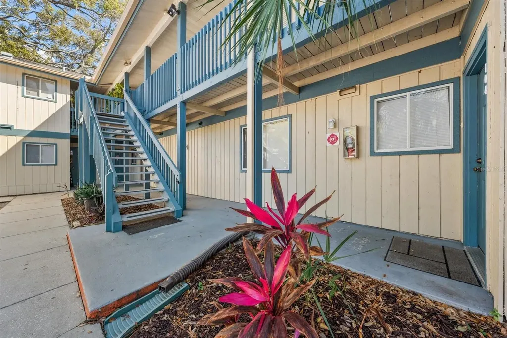 1113 Ohio Avenue Dunedin FL 34698