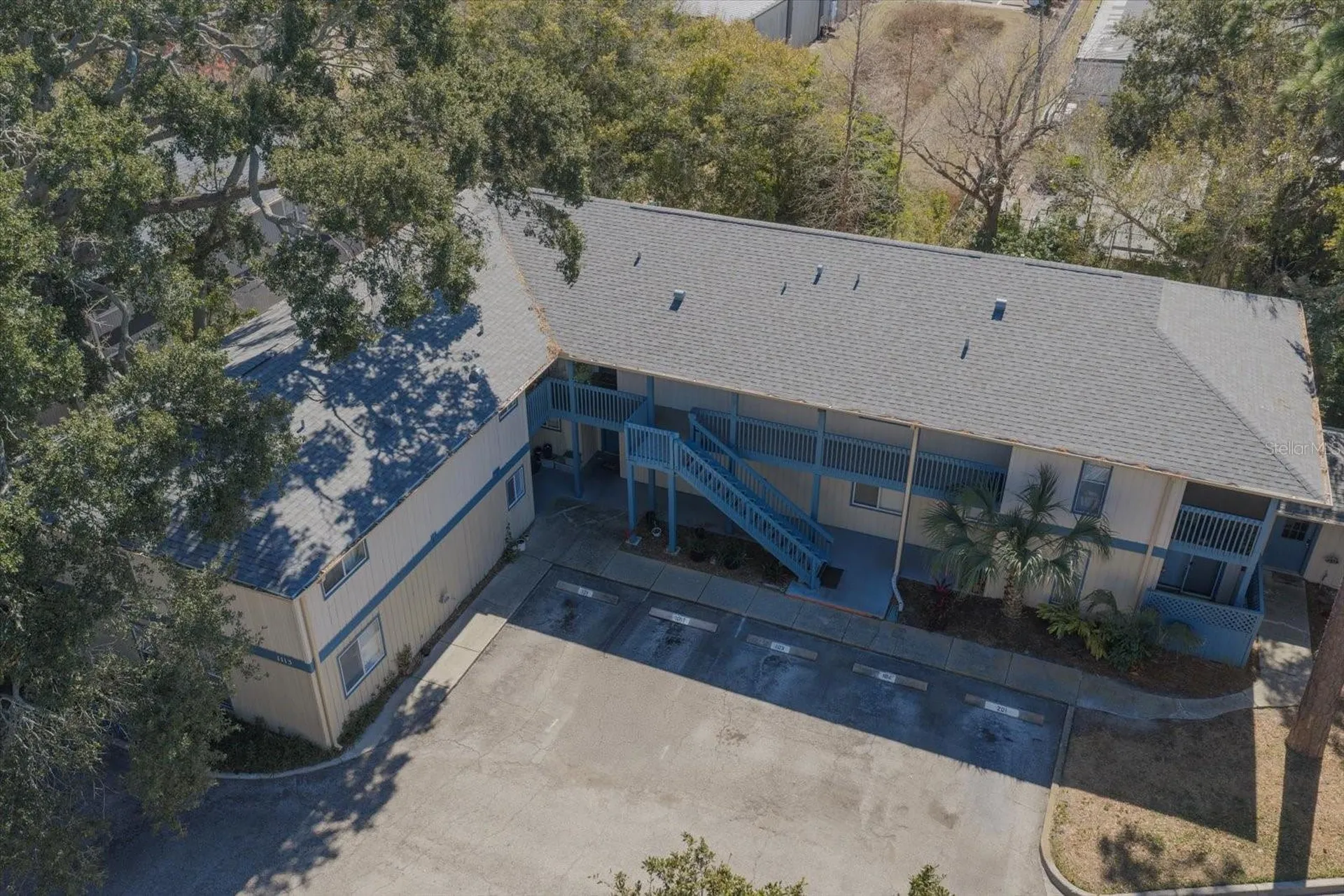 1113 Ohio Avenue Dunedin FL 34698