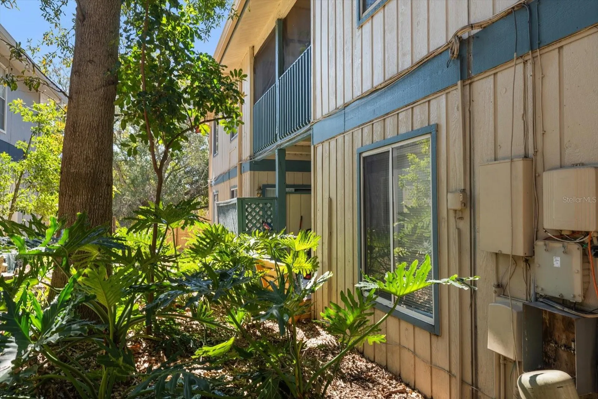 1113 Ohio Avenue Dunedin FL 34698