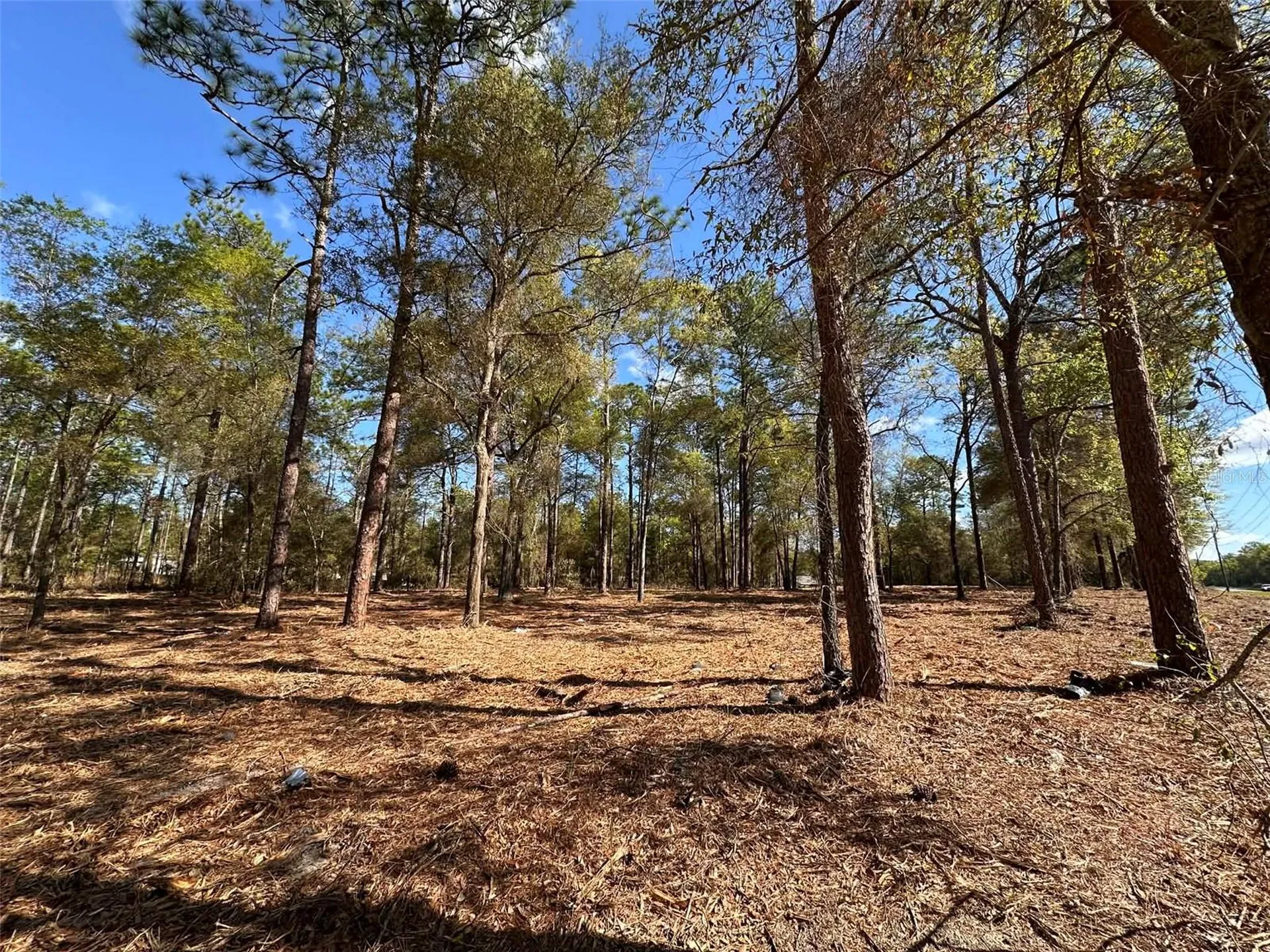 0 W Highway 40 Ocala FL 34481