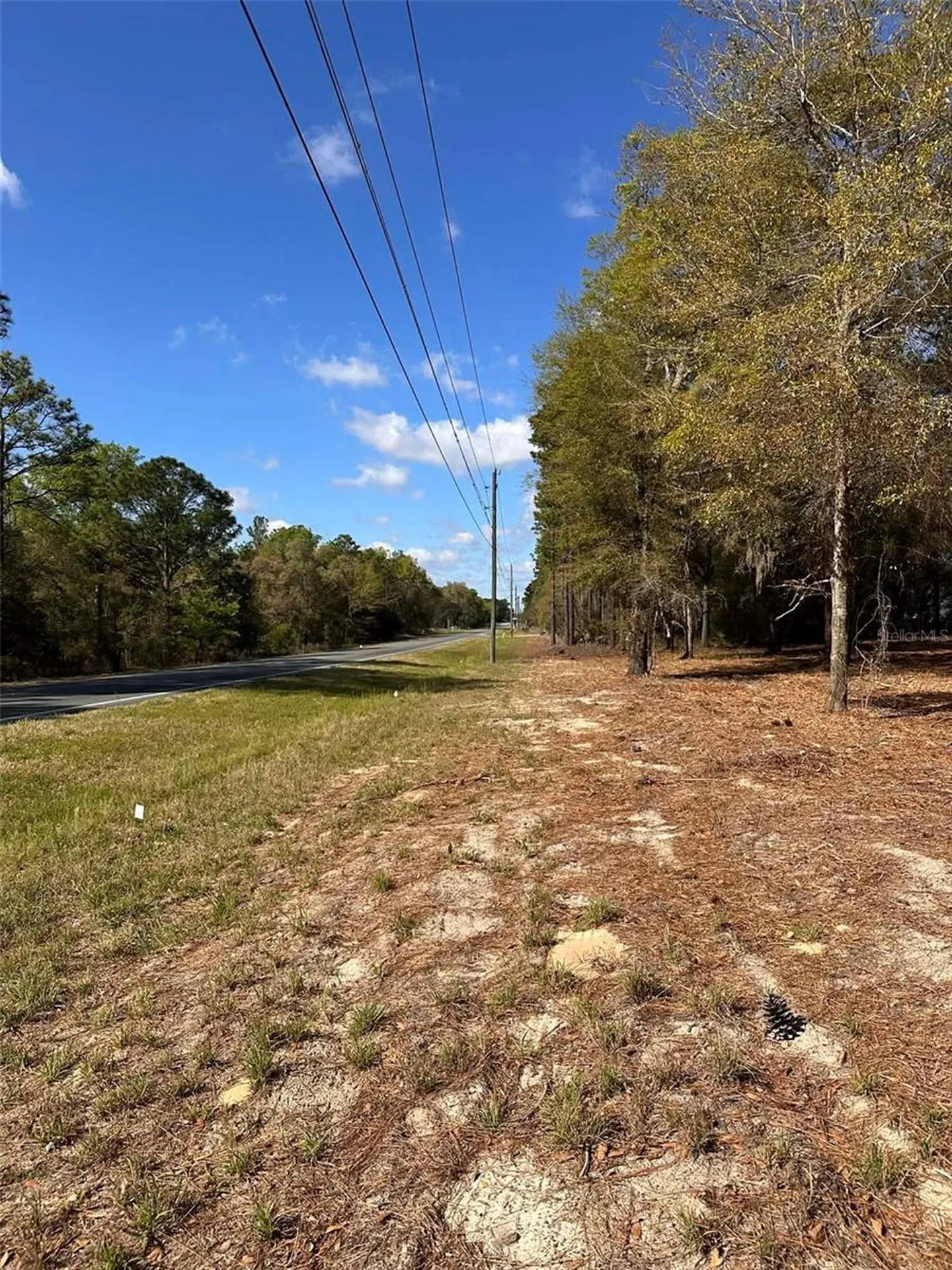 0 W Highway 40 Ocala FL 34481