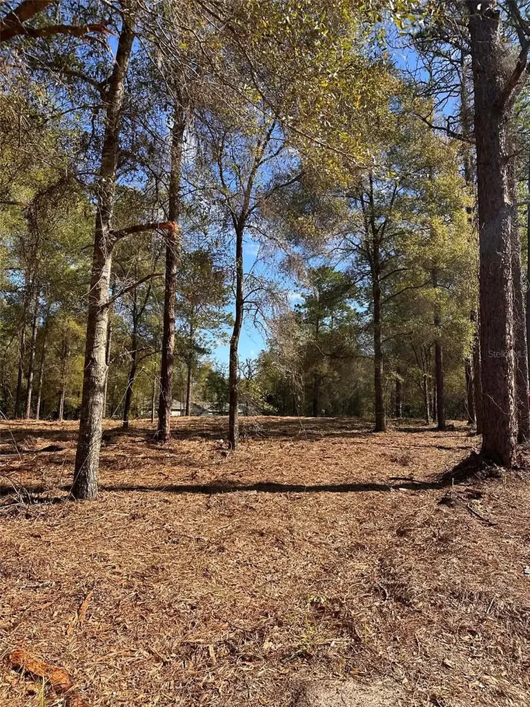 0 W Highway 40 Ocala FL 34481