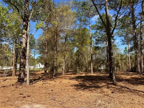 0 W Highway 40 Ocala FL 34481