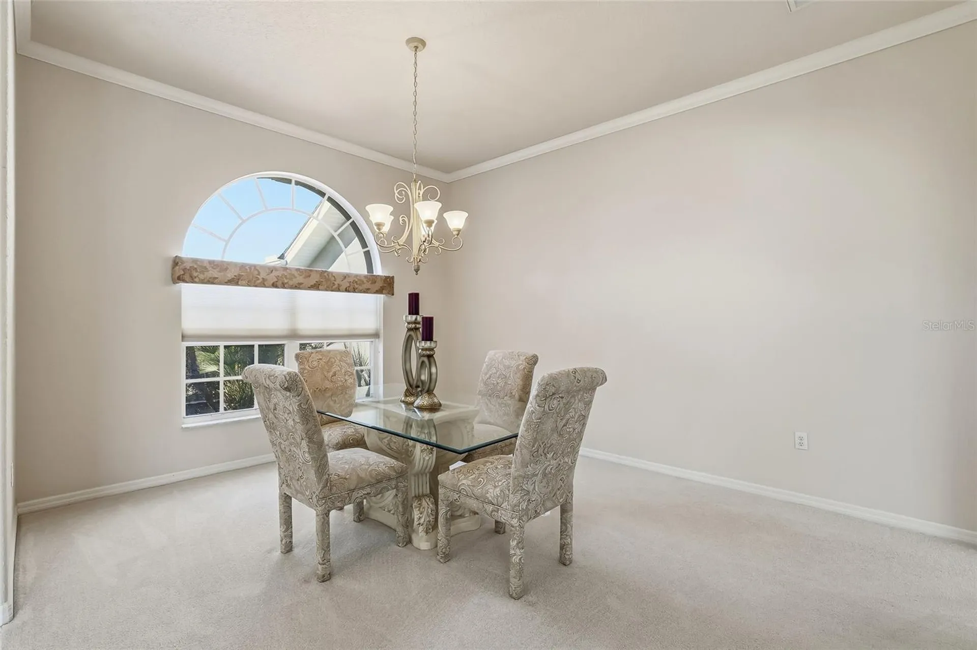 3521 Conifer Loop Spring Hill FL 34609