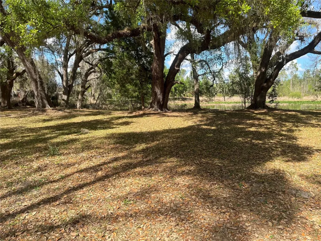 Sr 471 Webster FL 33597