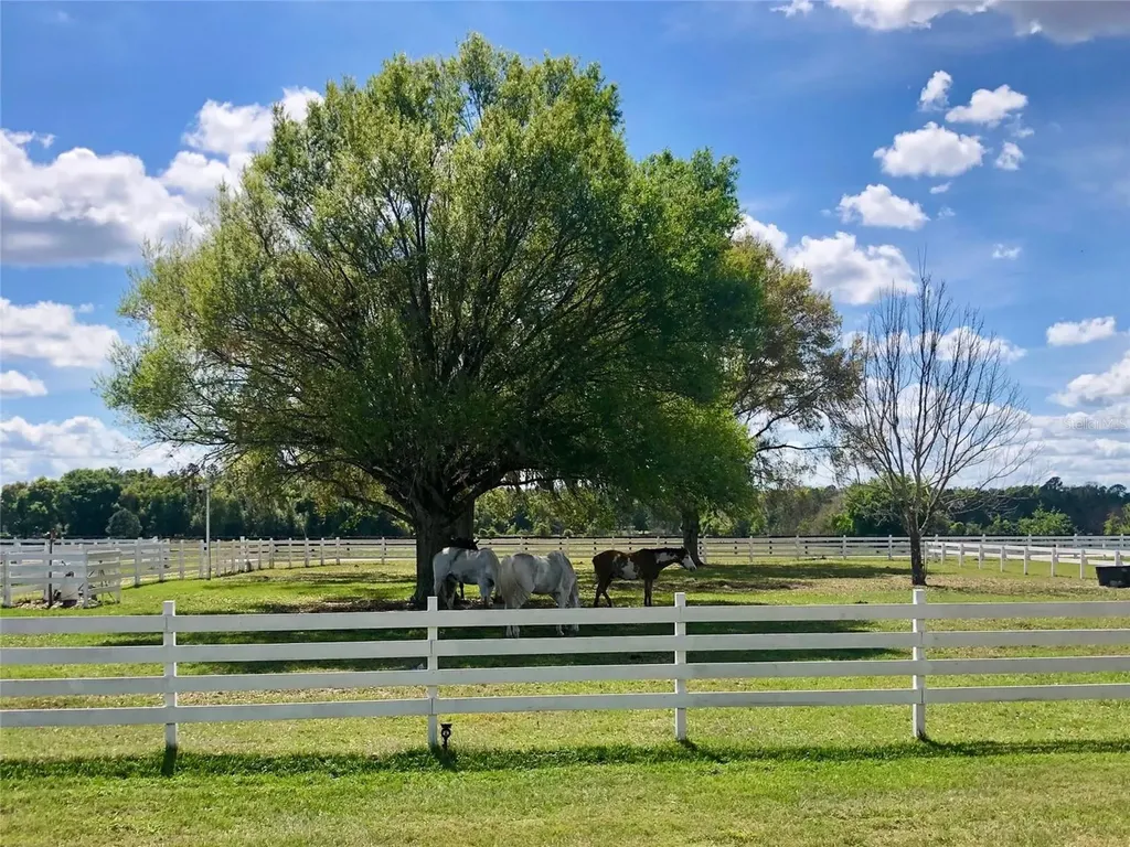 4015 Indigo Road Groveland FL 34736