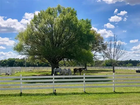 4015 Indigo Road Groveland FL 34736